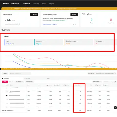 TikTok Ads result screenshot