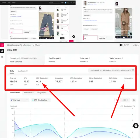 TikTok Ads result screenshot