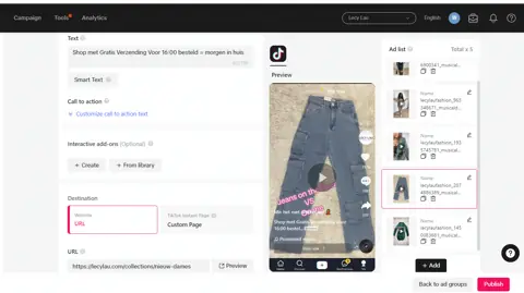 TikTok Ads result screenshot